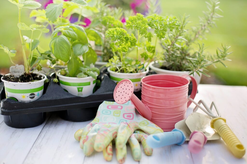 green plants